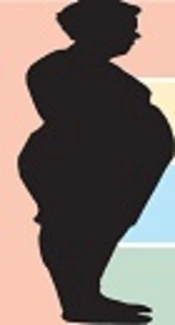Association of Leptin Receptor Gene Gln223Arg and lys109Arg Polymorphisms with Obesity and Overweight in an Iranian Young Population